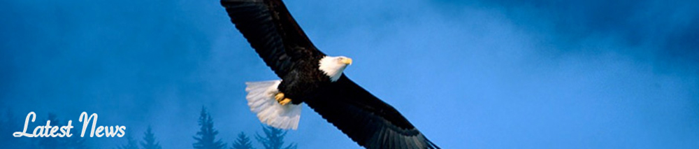 banner-eagle.jpg